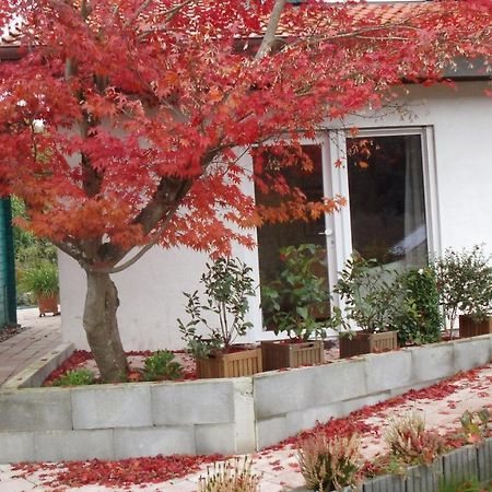 Haus Magnolia 2 Apartment Kandern Exterior photo