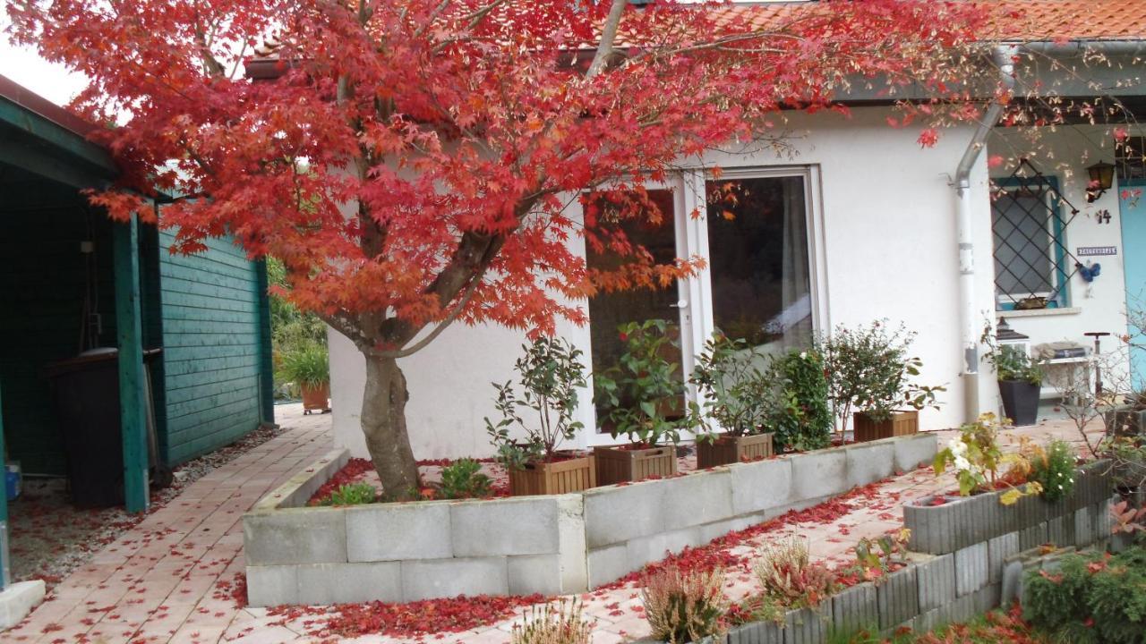 Haus Magnolia 2 Apartment Kandern Exterior photo